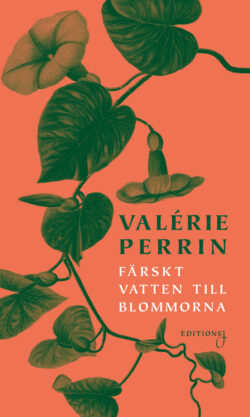 Färskt vatten till blommorna